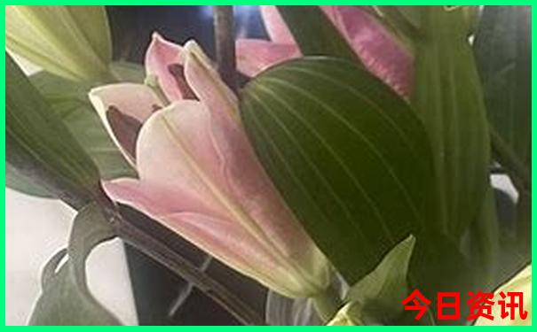 贵州小众景点自驾游